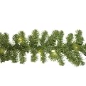 - 20'LTD PINE GRLND CLR-green