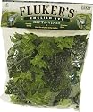 Fluker's Repta Vines-English Ivy
