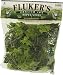 Fluker's Repta Vines-English Ivy