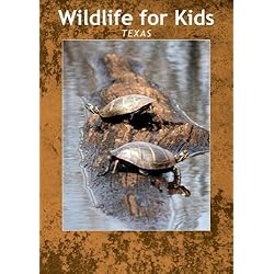 Wildlife for Kids