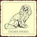 Cocker Spaniel Sign, Size 12