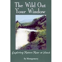 The Wild Out Your Window