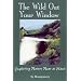 The Wild Out Your Window