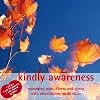 Kindly Awareness 2 CD set - Managing pain, illness and stress with mindfulness meditation