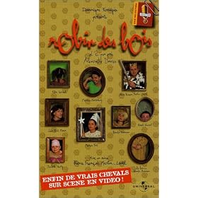 Les Robins des bois : Le Spectacle [VHS]