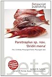 Paretroplus Sp. Nov. 'Dridri Mena'-