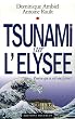 Tsunami sur l'Elys�e : Pourvu que ce soit une fiction