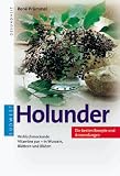 Holunder - Rene Pr&uuml;mmel