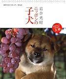 2007年卓上カレンダー 岩合光昭 ニッポンの子犬