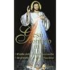 Ges� confido in te. Le preghiere di santa Faustina. Il culto della divina misericordia