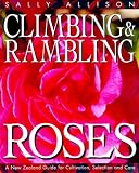 Climbing and Rambling Roses: A Guide for Cultivation Selection and Care