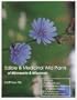 Edible & Medicinal Wild Plants of Minnesota & Wisconsin