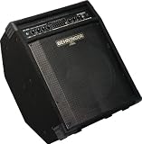 Behringer ULTRABASS BXL3000 300-Watt 2-Channel Bass Workstation