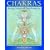 Chakras - Energy Centers of Transformation