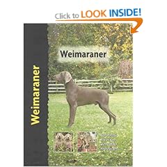 Weimaraner (Pet Love)