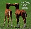 サラブレッド浪漫―内藤律子写真集