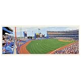 Good Sports Art New York Mets Left Field Corner Lithograph