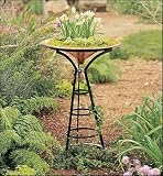 Hoop Birdbath