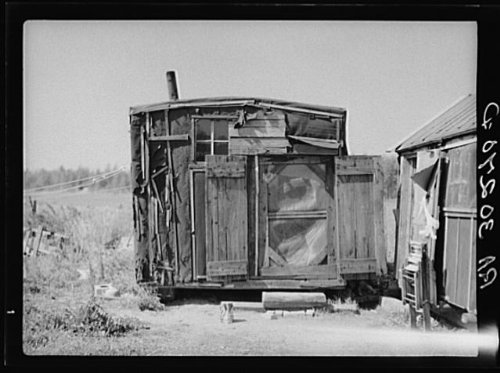 Photo: Tarpaper dwelling of man living in abandoned lumber camp. Gemmel,Minnesota