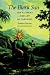 The Black Sun: The Alchemy and Art of Darkness (Carolyn & Ernest Fay Series in American Psychology): The Alchemy and Art of Darkness (Carolyn {amp}amp; Ernest Fay Series in American Psychology)