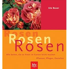 Rosen, Rosen, Rosen