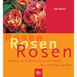Rosen, Rosen, Rosenvon "Ute Bauer"