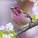 Songbirds 2017 Calendar: Includes Downloadable Wallpaper