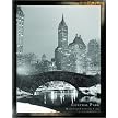 New York Central Park Framed Print - 20x24"