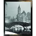 New York Central Park Framed Print - 20x24"