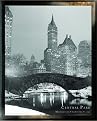 New York Central Park Framed Print - 20x24"