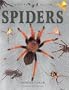 Spiders (Nature Watch)