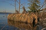 Avery Outdoors KillerWeed Duck Boat Camo Blind Kit