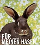 F�r meinen Hasen: Weisst du eigentlich, warum ich dich so lieb habe?