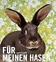 F�r meinen Hasen: Weisst du eigentlich, warum ich dich so lieb habe?