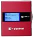 TOSHIBA  HDDプレーヤー gigabeat G10 バーニングレッド [MEG101(R)] MEG101 R