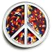 PEACE SIGN Belt Buckle 60's Hippie Flower Power Tie-Dye