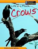 Crows Life in a Flock (Animal Groups)