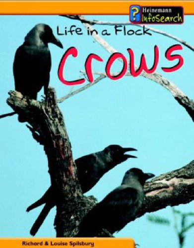 Crows Life in a Flock (Animal Groups)