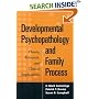 Developmental Psychopathology and Family Process: Theory, Research, and Clinical Implications