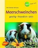 Meerschweinchen. Gesellig - freundlich - aktiv