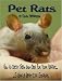 Pet Rats