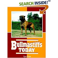 The Bullmastiff Today