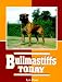 Bullmastiffs Today