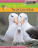 The life cycle of birds