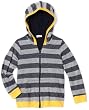 Splendid Littles Boys 4-7 Multi-lined Stripe Hoodie
