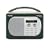 PURE EVOKE Mio Moss Rechargeable DAB/FM Radio