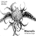 Weavels - At Nether Edge
