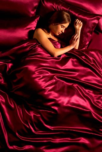 Passion Faux Silk Mulberry 6 piece Satin Duvet Cover Set Double Bed