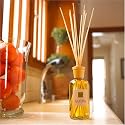 Alora Ambiance TRE Reed Diffuser - 8oz