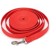 Water & Wood Red 10FT Long Dog Puppy Pet Puppy Training Obedience Lead Leash